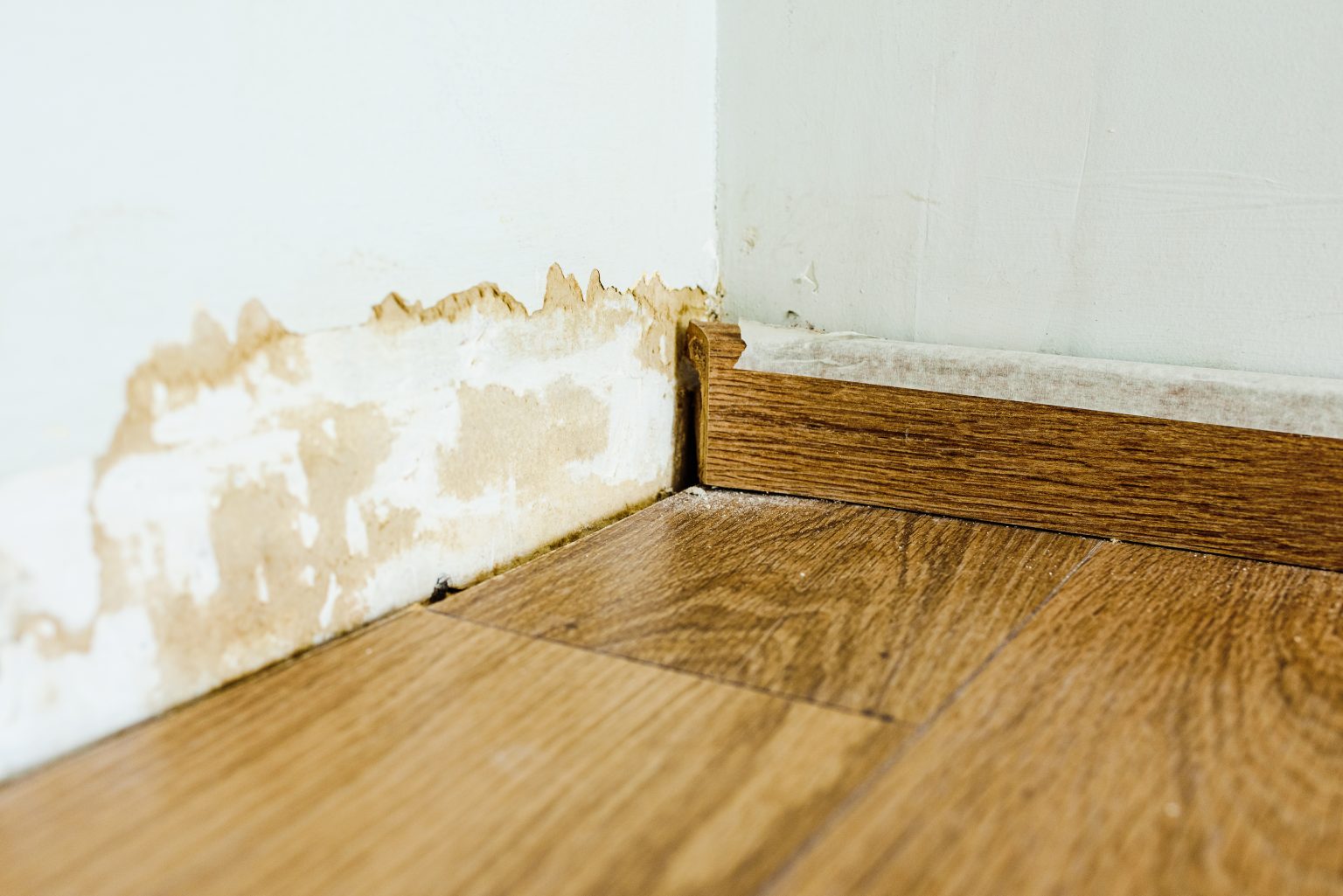 Can Laminate Flooring Cause Damp? (All You Need to Know!) www